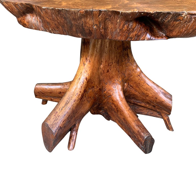 Organically Shaped Tree Root Side Table, France, 20th Century at