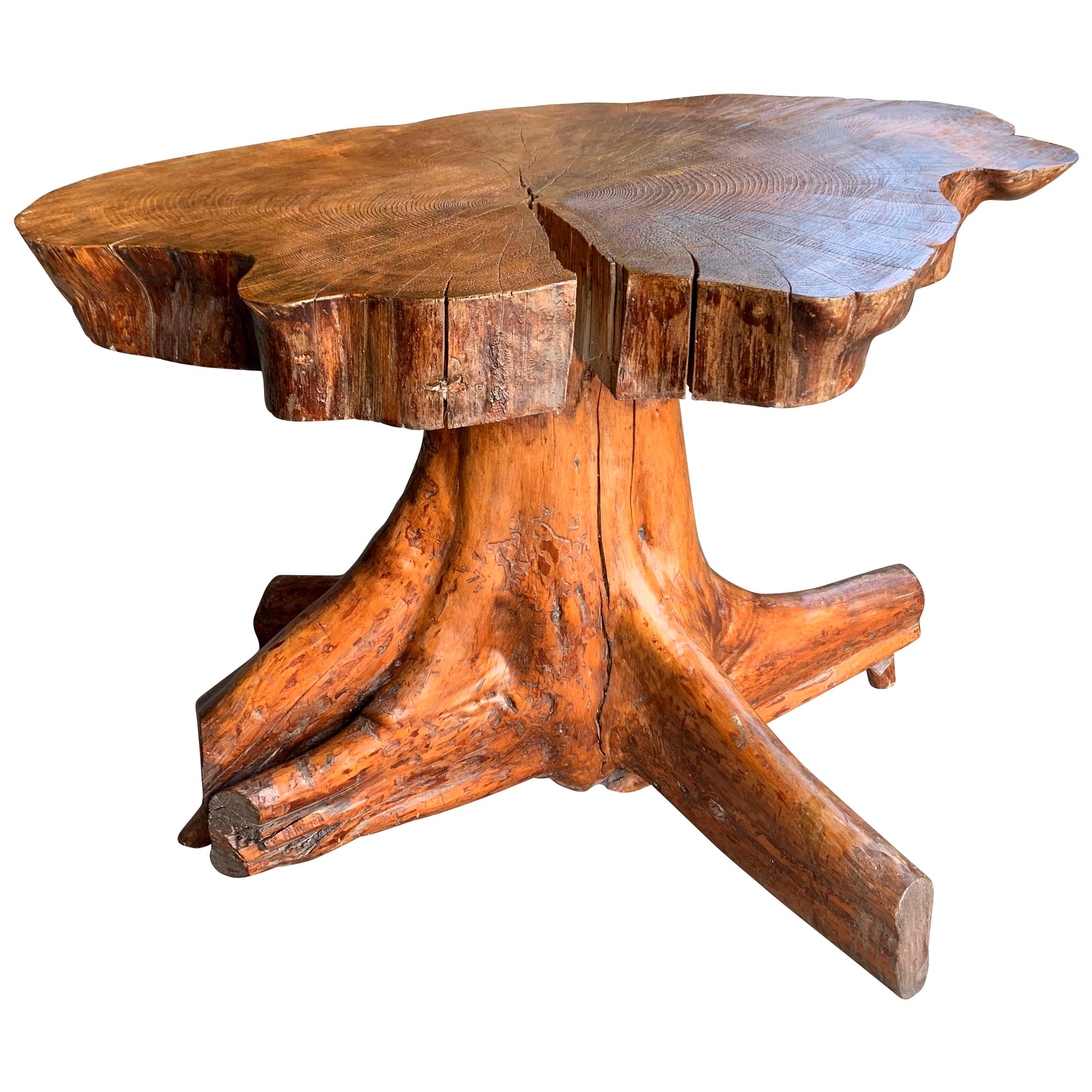 Organically Shaped Tree Root Side Table, France, 20th Century