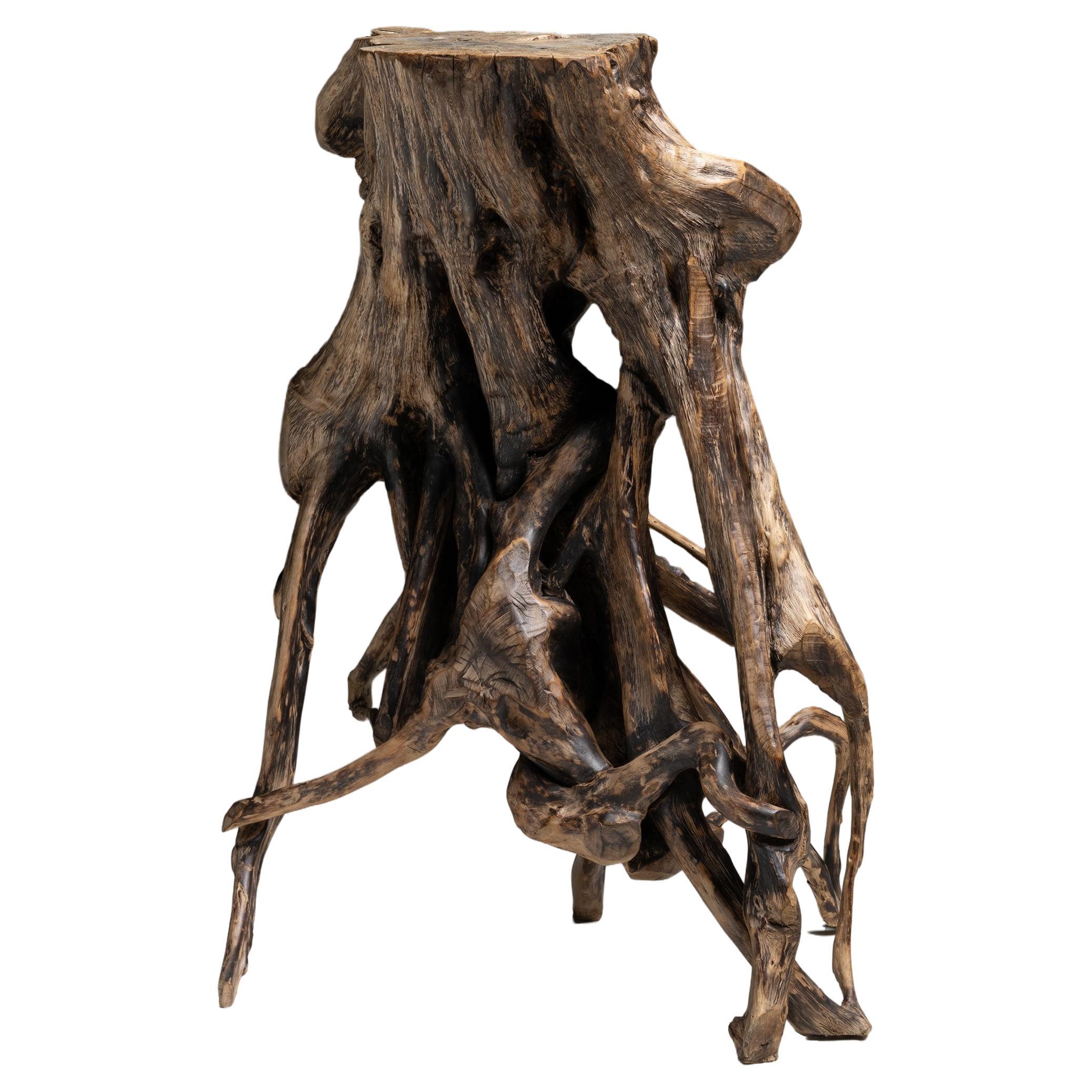 Tree Root Stand, Japan circa 1900 For Sale