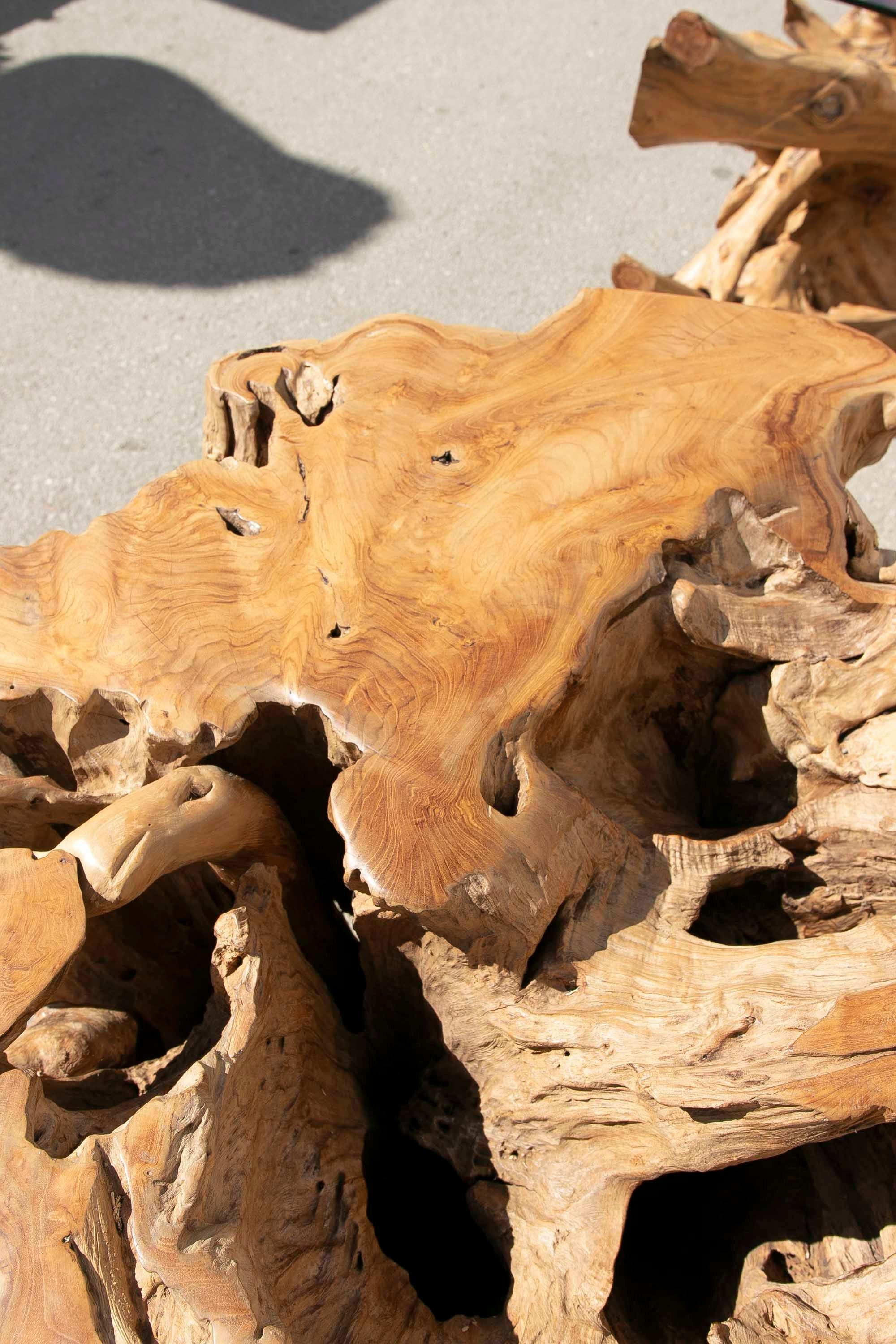 Tree Root Wood Table Base For Sale 5