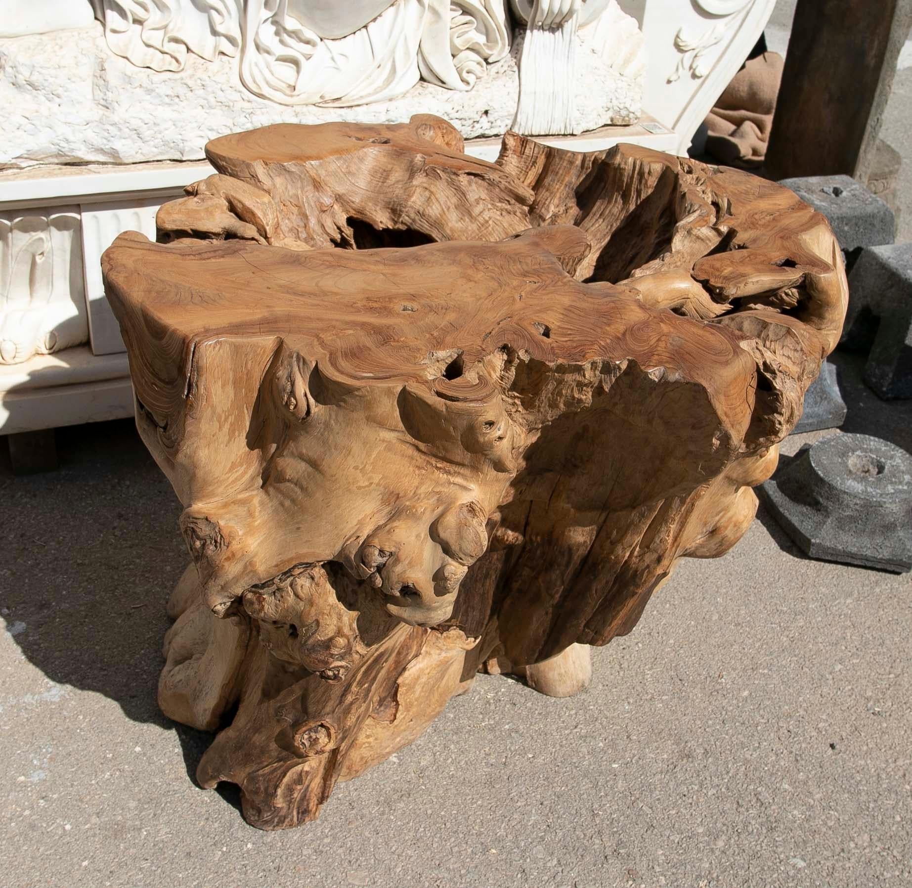 Espagnol Base de table en bois Tree Root en vente