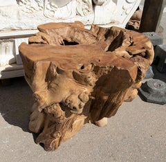 Tree Root Wood Table Base