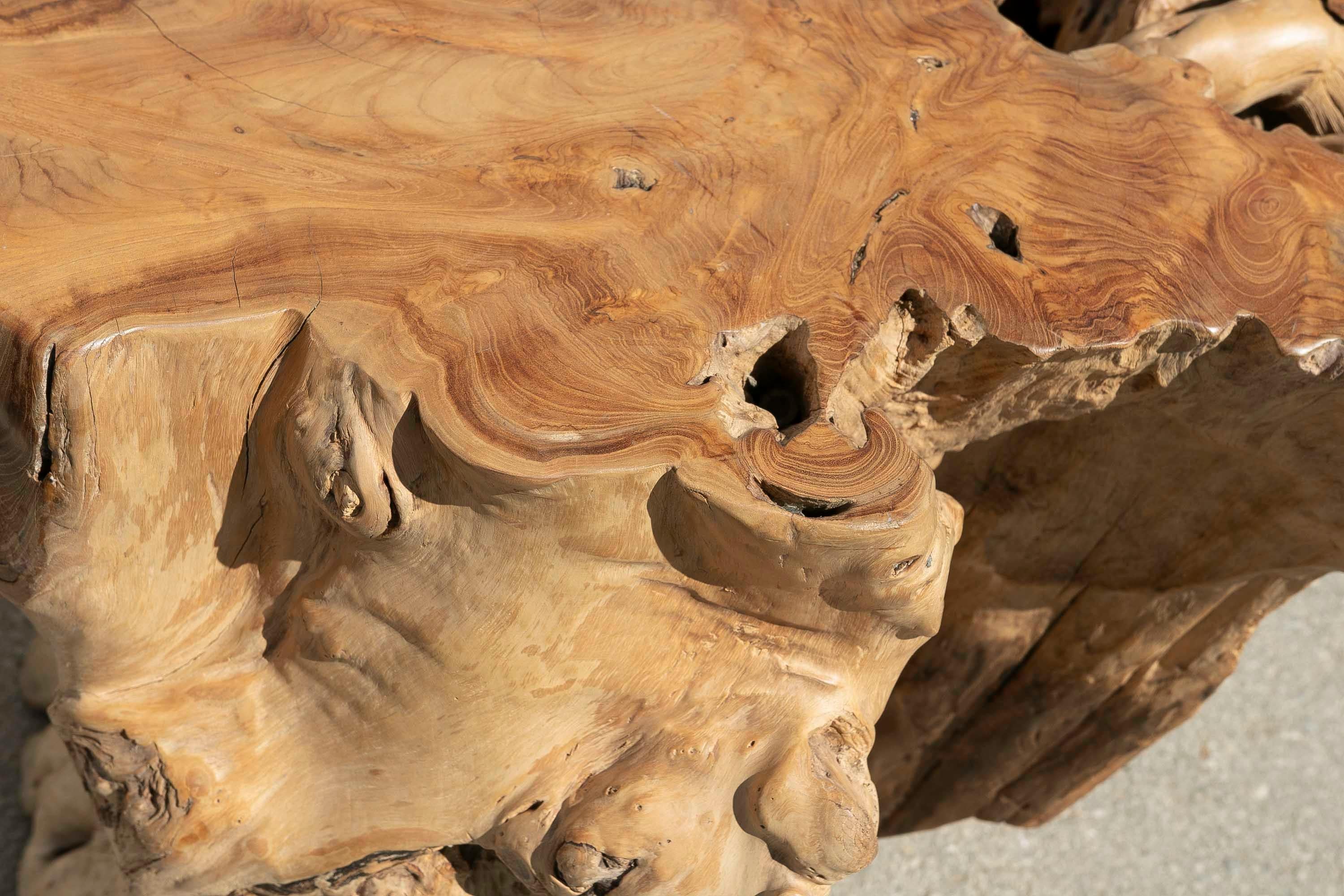 Base de table en bois Tree Root Excellent état - En vente à Marbella, ES