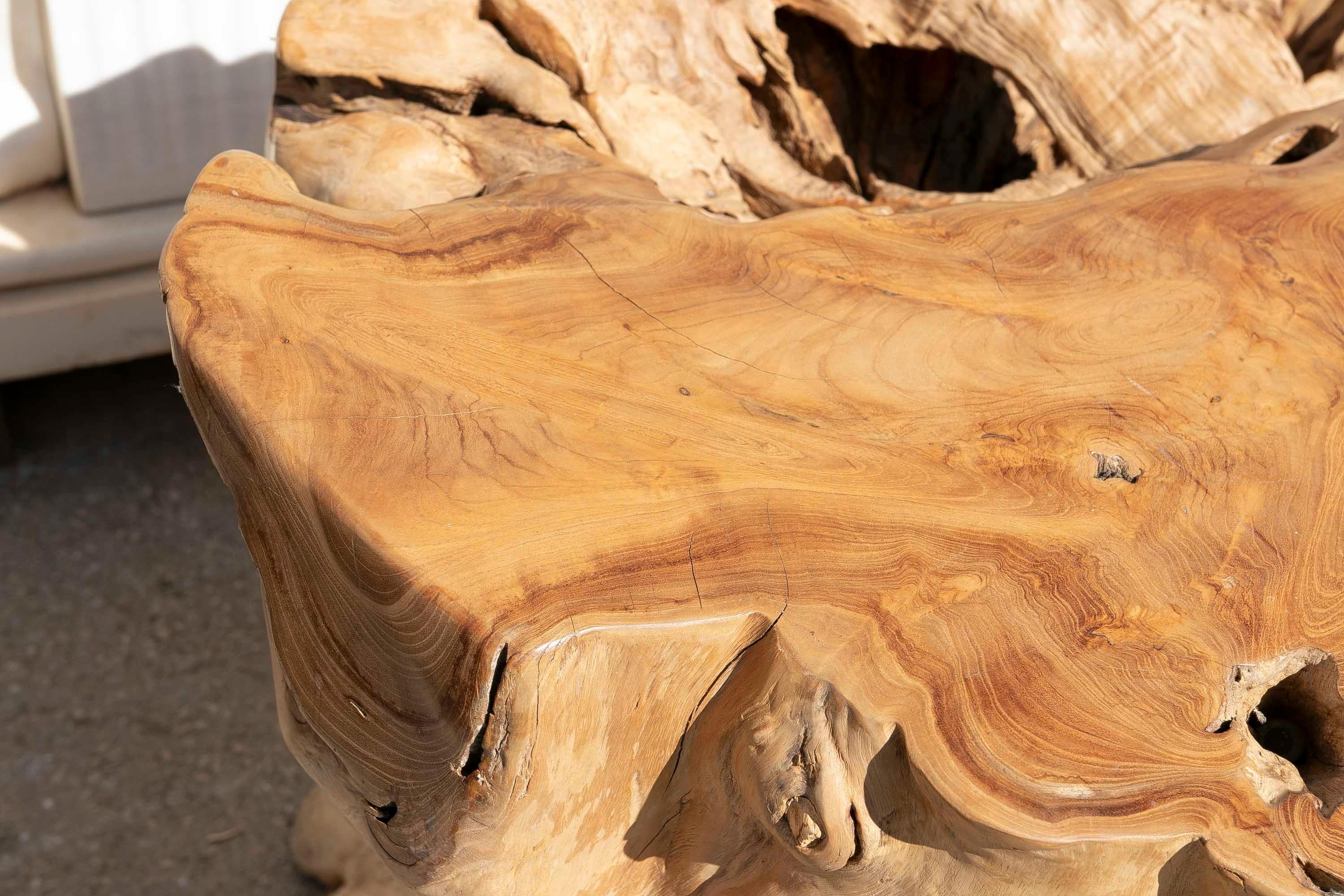 20ième siècle Base de table en bois Tree Root en vente