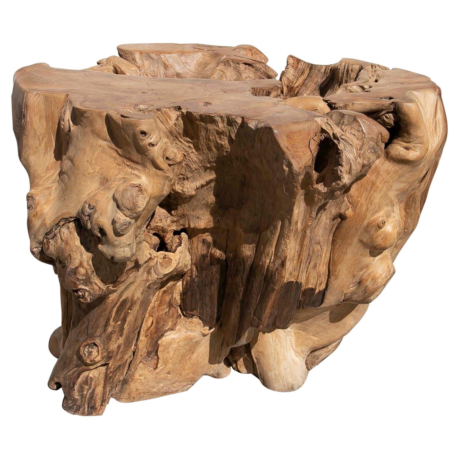 Base de table en bois Tree Root