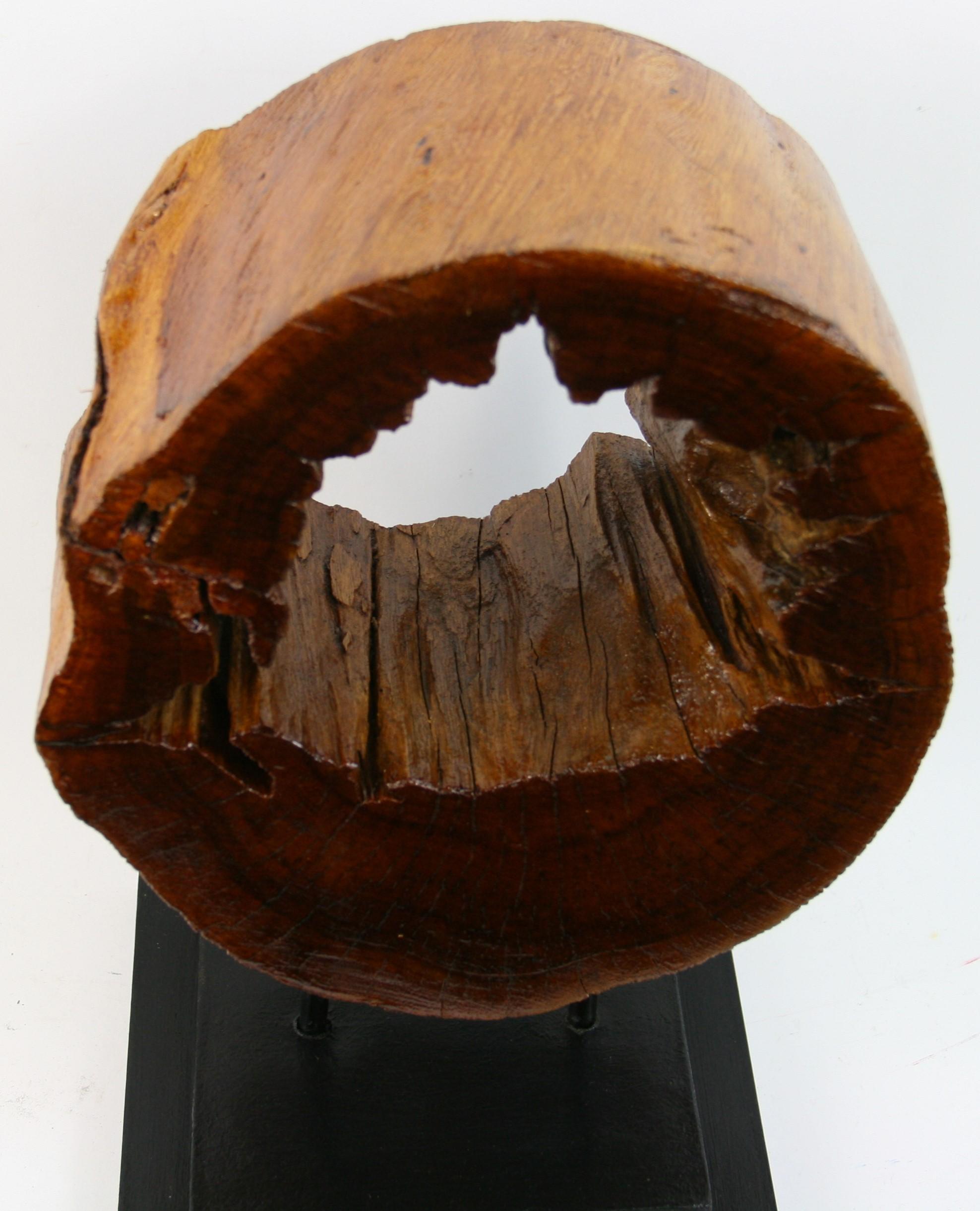 Hardwood Japanese Tree Segment  Wabi Sabi Wood Sculpture