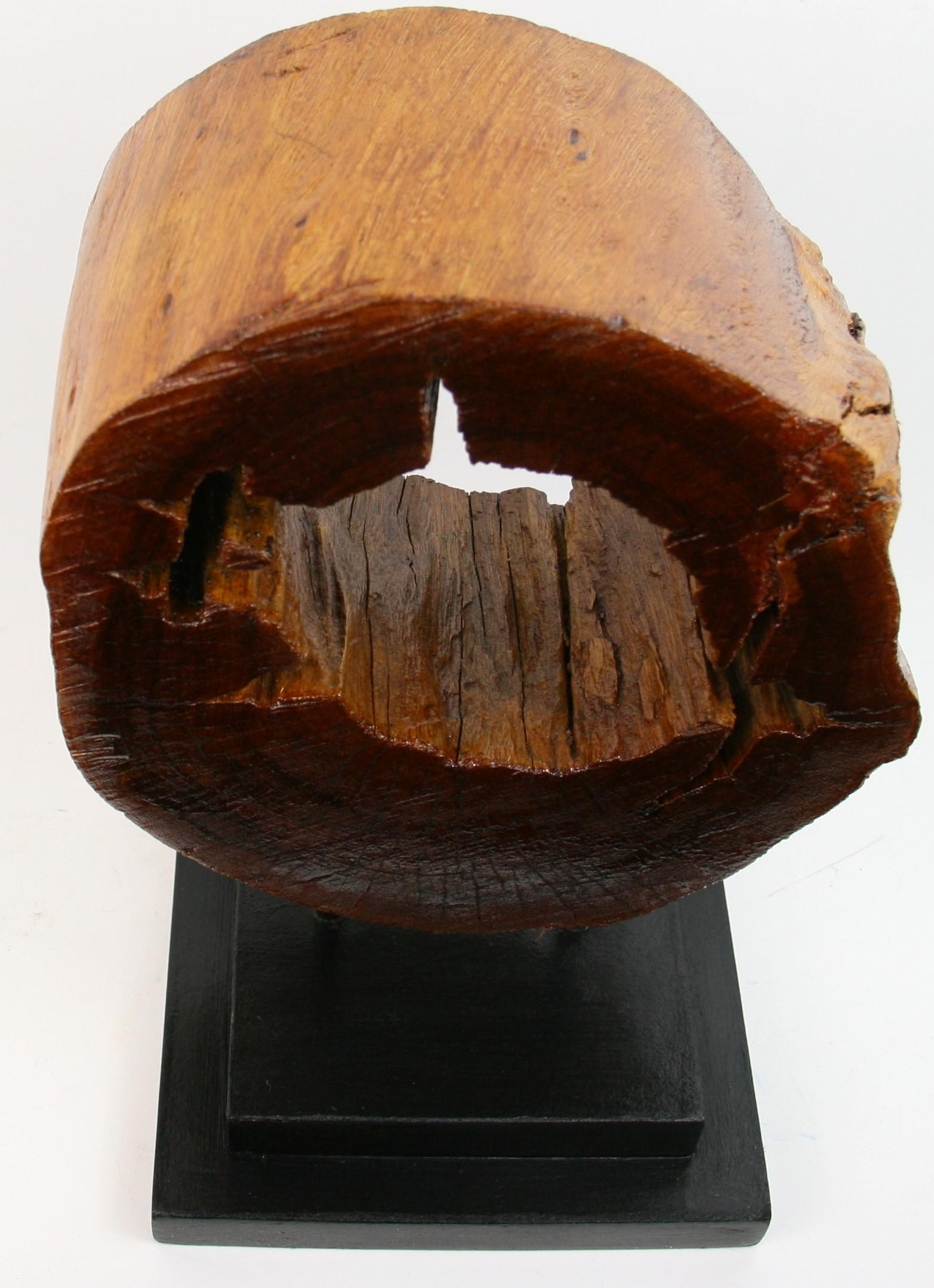 Japanese Tree Segment  Wabi Sabi Wood Sculpture 2