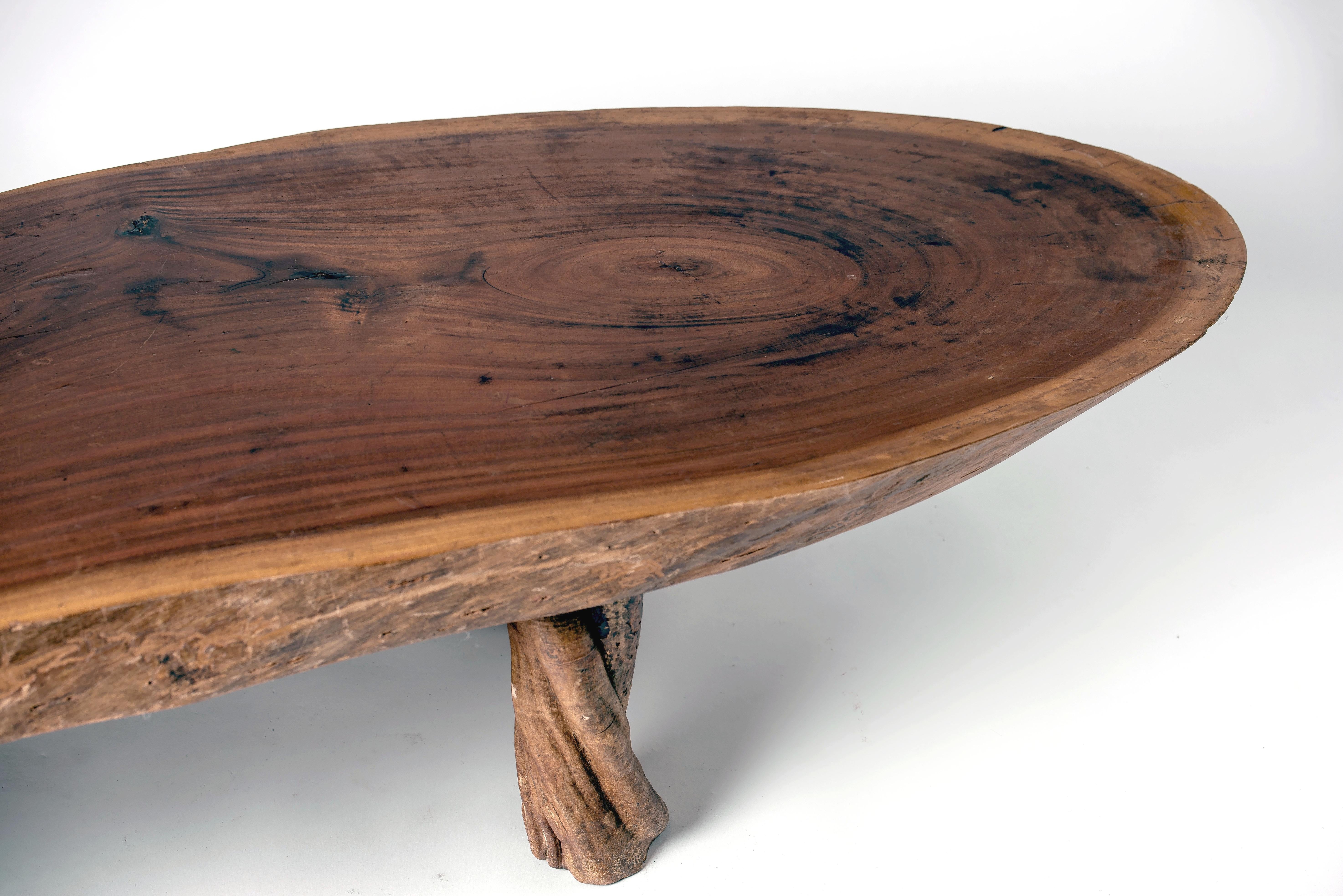 Late 20th Century Tree Slice Coffee Table with Feet Made of Liana