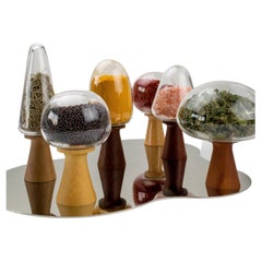 Tree Story Spice Containers Set - Lead-Free Handblown Glass and Hand-turned Wood