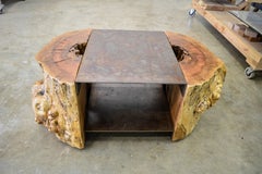 Tree Stump and Steel Coffee Table