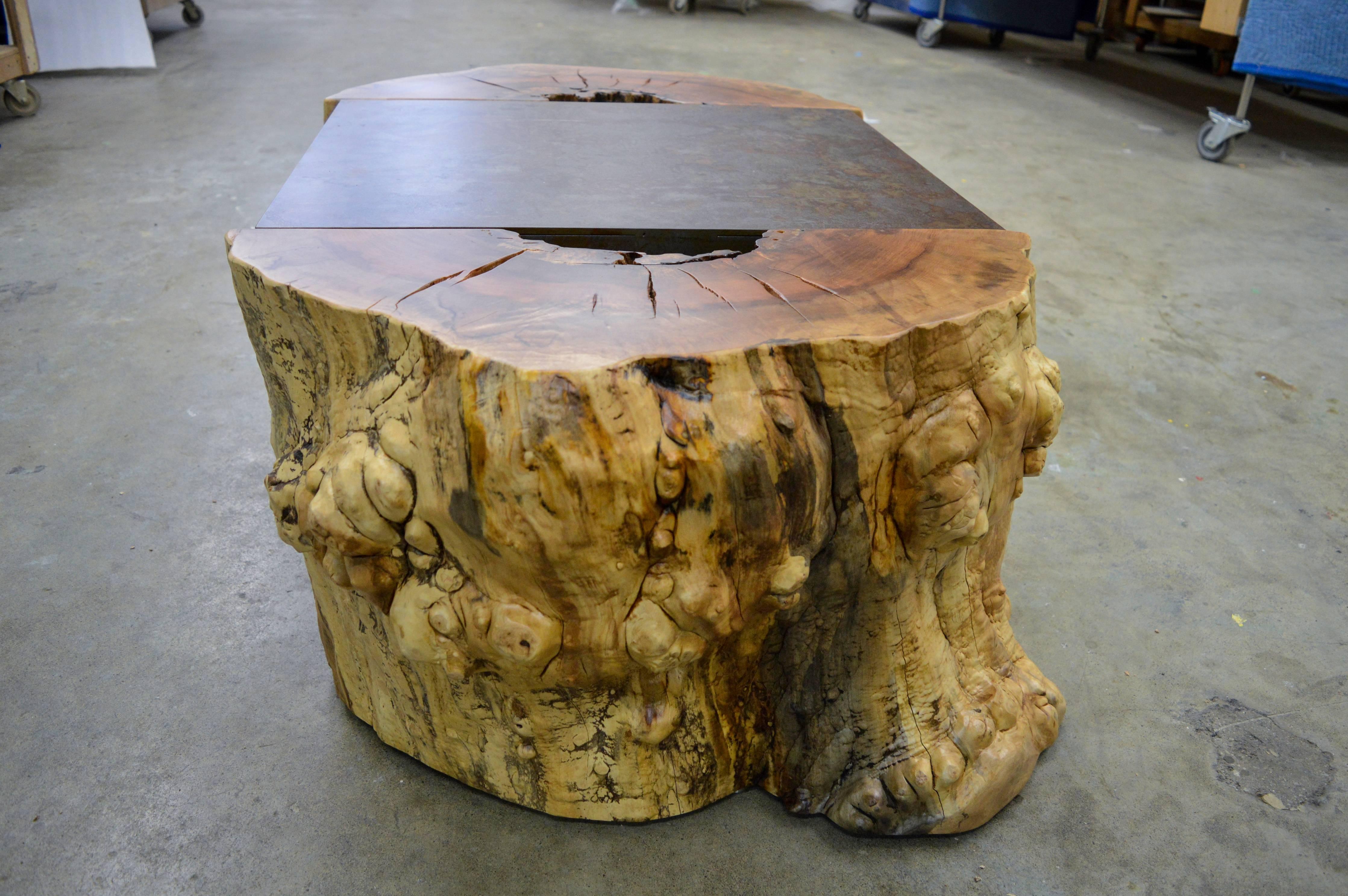Modern Tree Stump and Steel Coffee Table For Sale