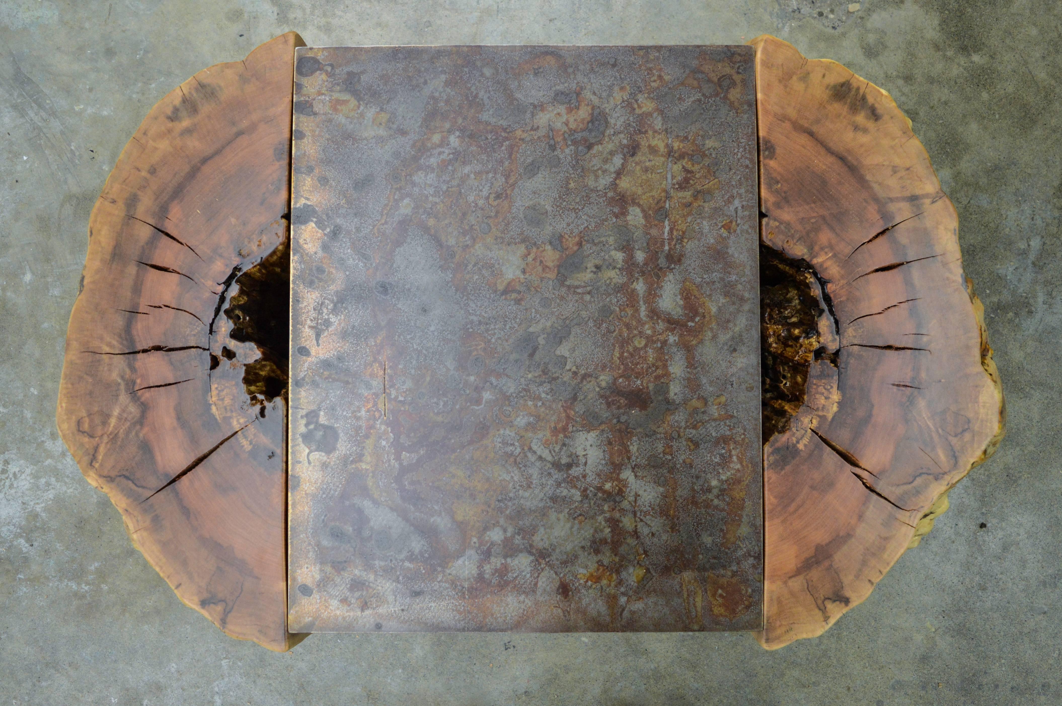 Canadian Tree Stump and Steel Coffee Table For Sale