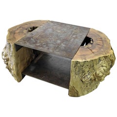 Tree Stump and Steel Coffee Table