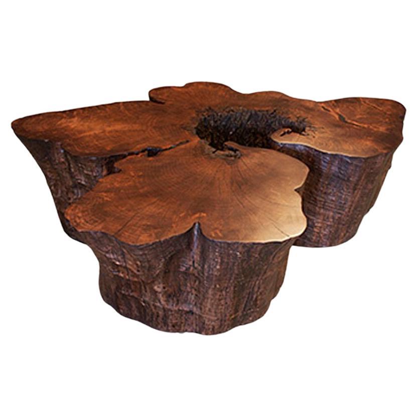 Organic Black Walnut Tree Stump Low Table with Bark For Sale