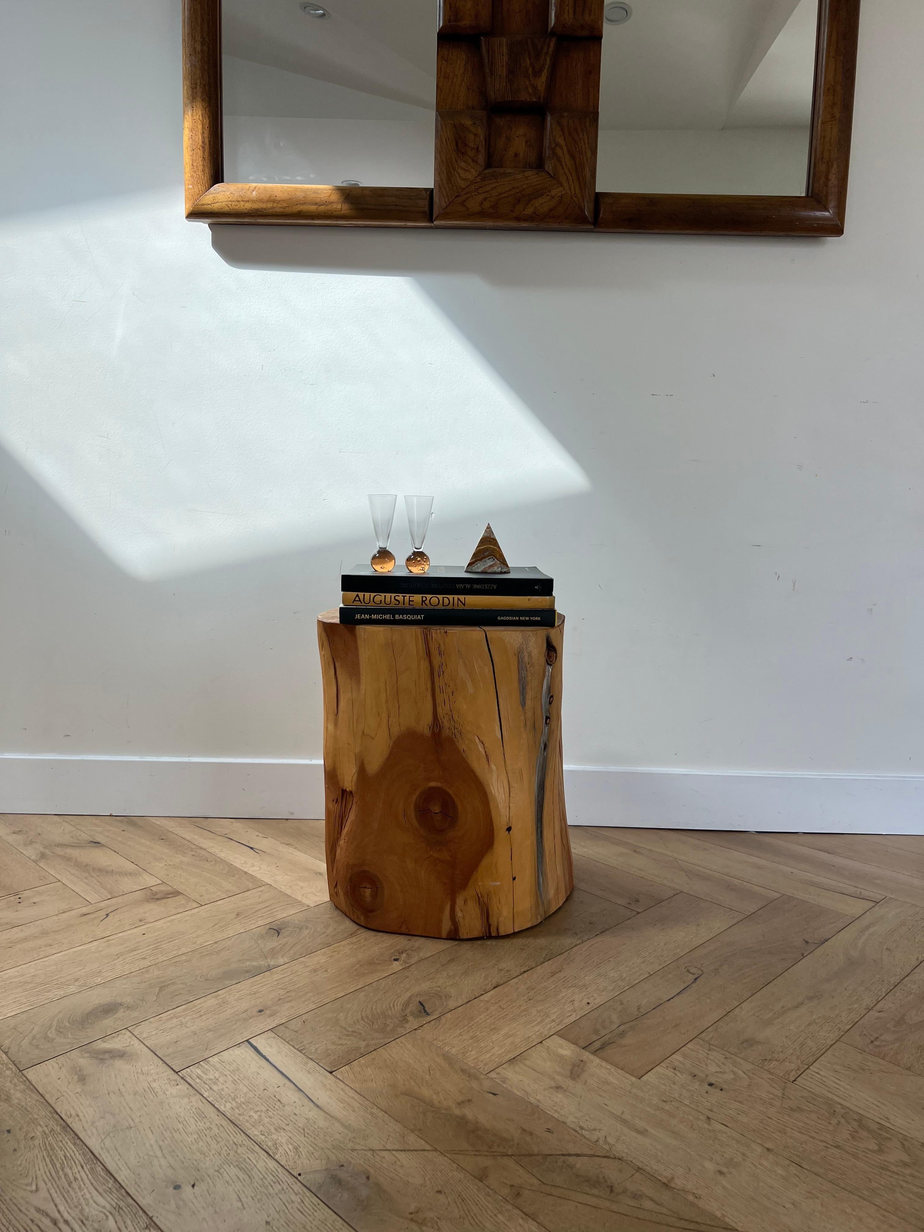 Tree Stump Side Table, 21st Century For Sale 8