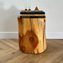 Tree Stump Side Table, 21st Century