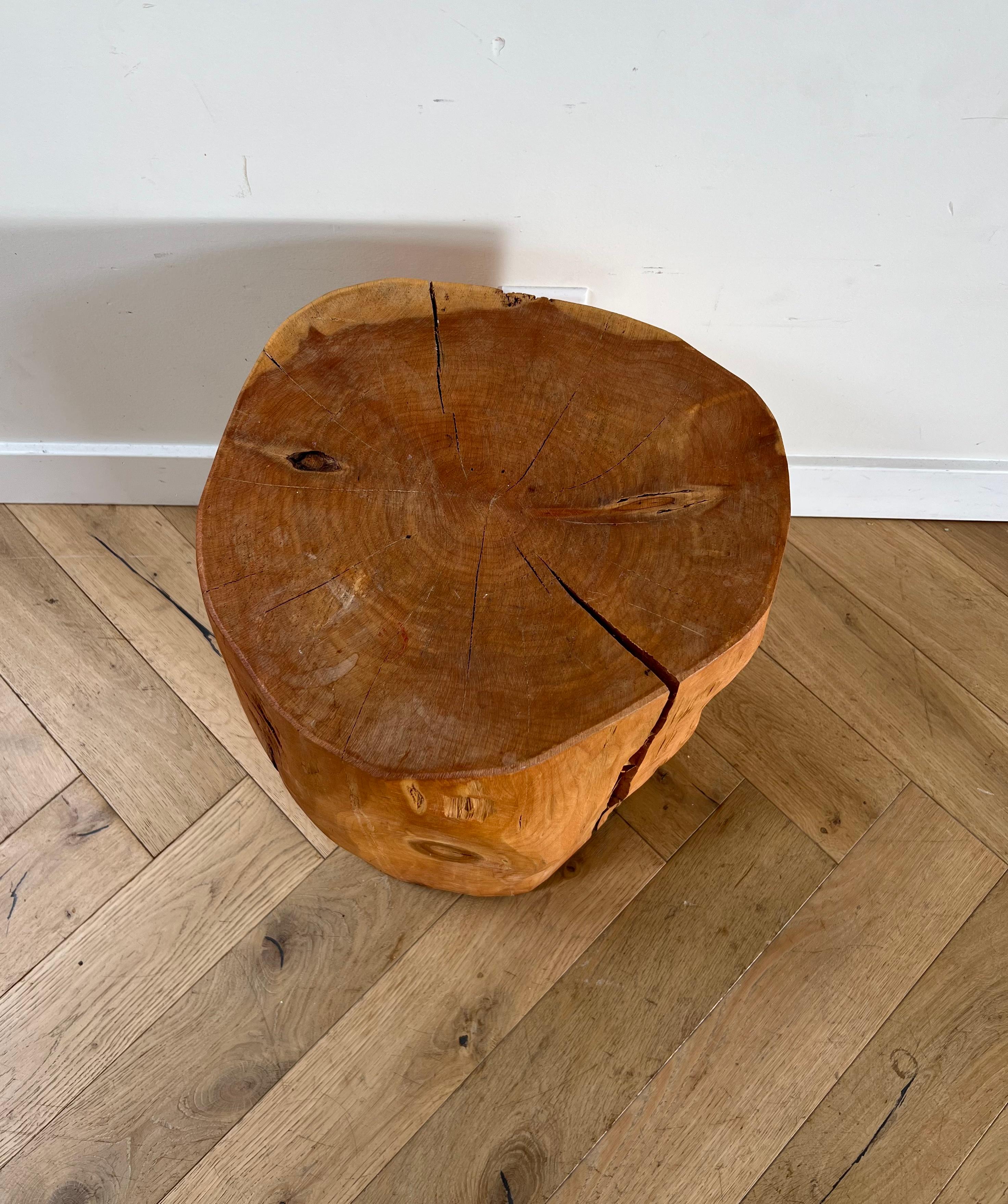 Contemporary Tree Stump Side Table, 21st Century For Sale