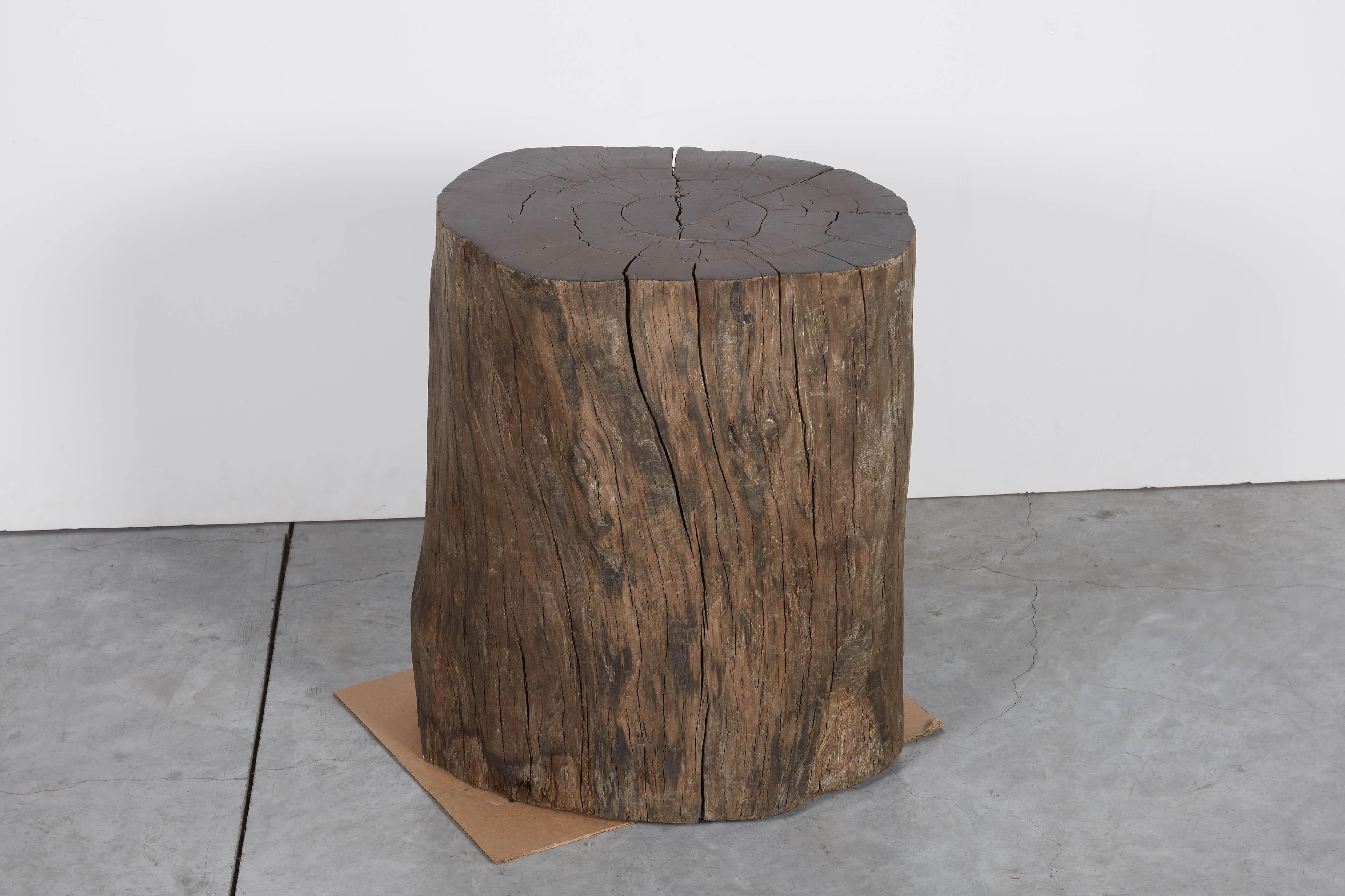 A beautifully shaped, organic tree stump stool or side table with exquisite natural graining and smooth, polished top. This heavy piece has a primitive aspect to it, yet will fit perfectly in a contemporary interior.
