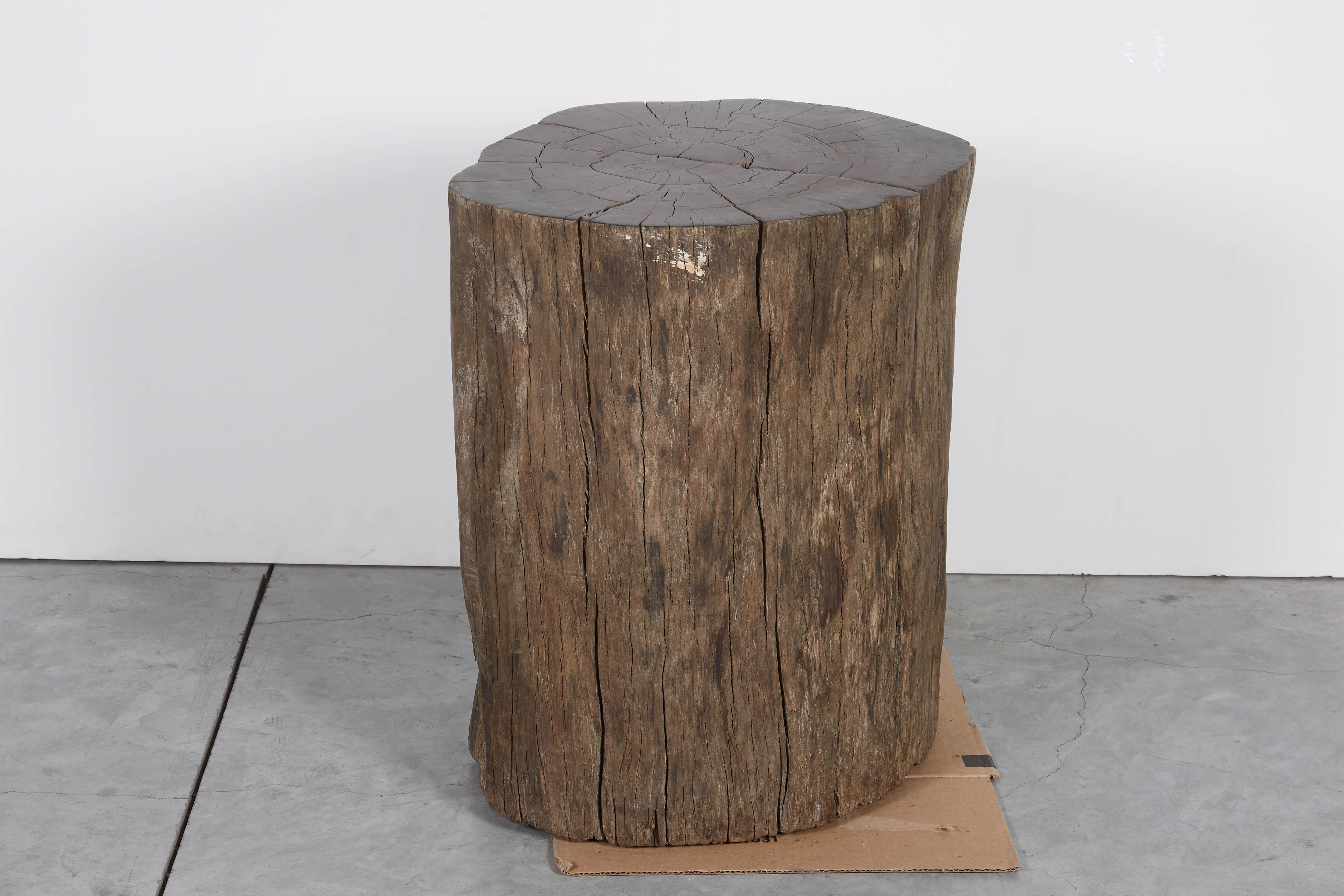 tree trunk stool