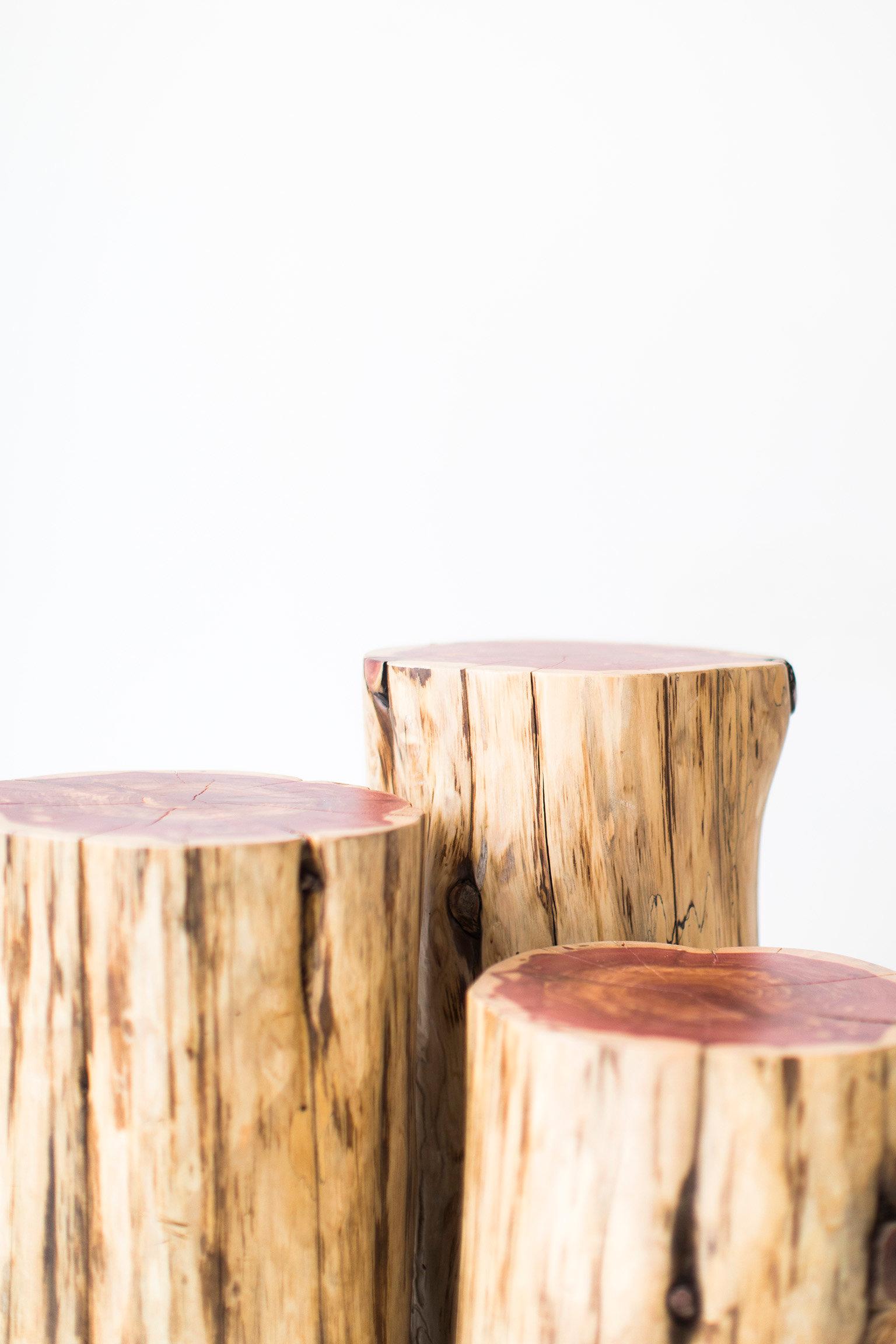 Nord-américain Tables d'écorce d'arbre, naturel en vente