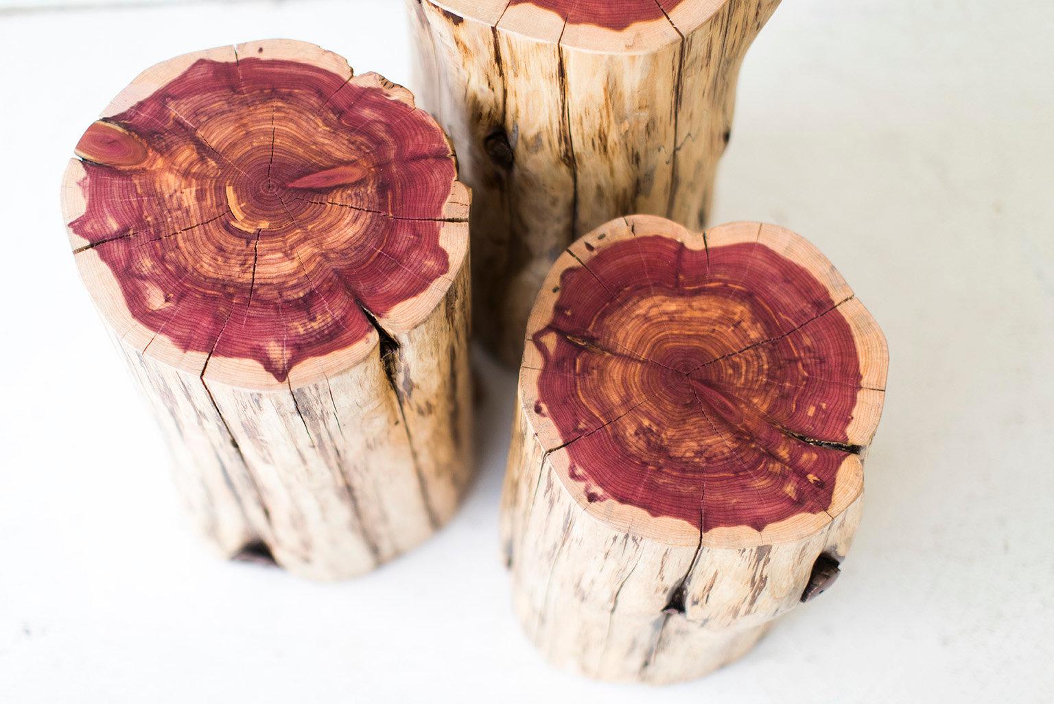 Contemporary Tree Stump Tables, Natural For Sale