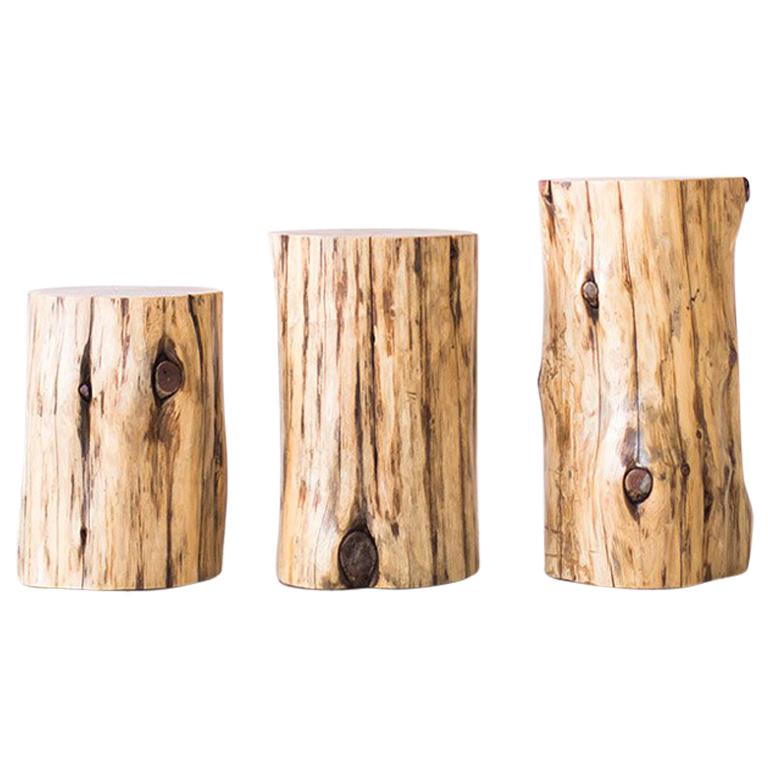 Tree Stump Tables, Natural For Sale