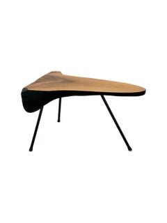 Tree Trunk Coffee Table by Carl Auböck, 1950s