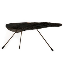 Organic Tree Trunk Coffee Table, Carl Auböck, Walnut Wood Patinated Brass, 1950s