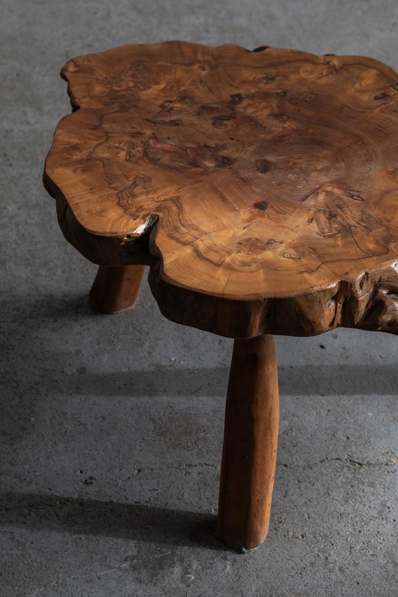 Bohemian Tree trunk coffee table, France, 1970s