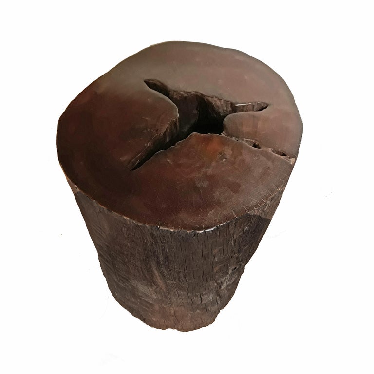 Tree Trunk End Table For Sale at 1stDibs