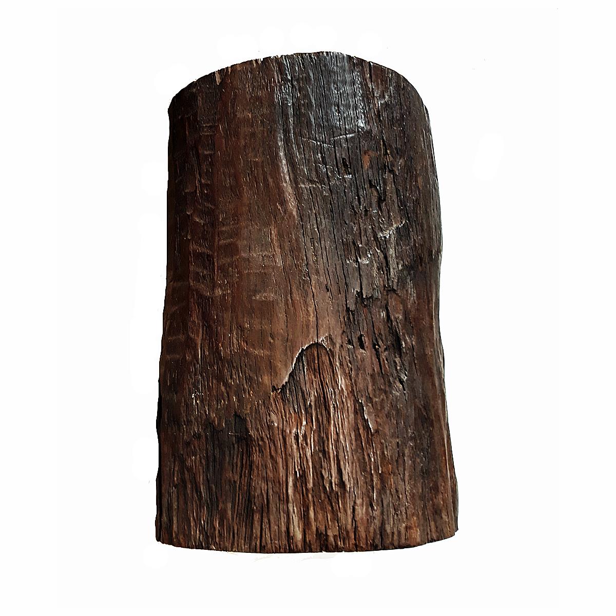 Hand-Crafted Tree Trunk End Table