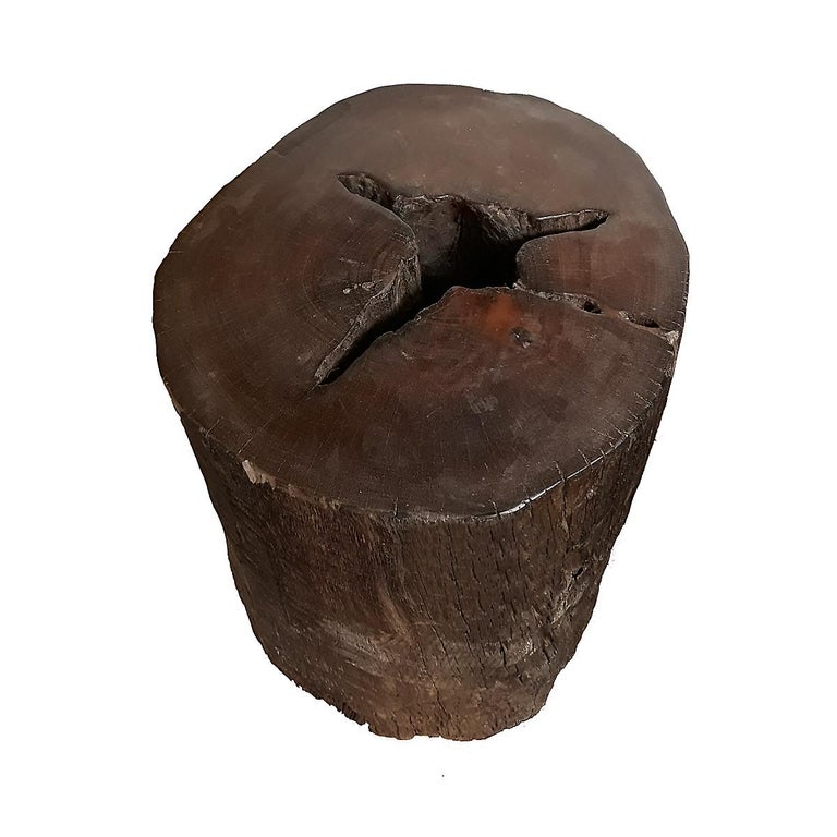 Tree Trunk End Table For Sale at 1stDibs