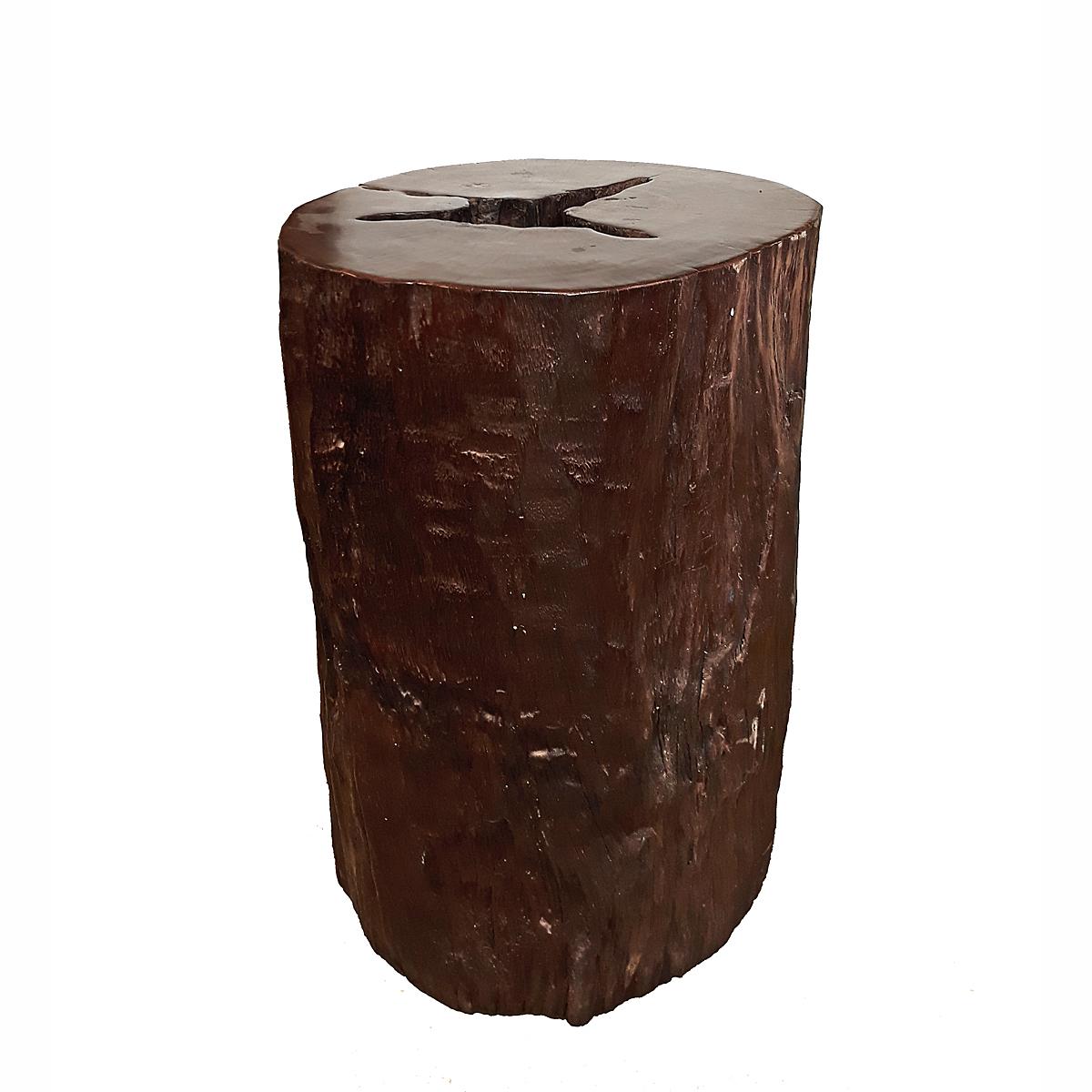 Wood Tree Trunk End Table