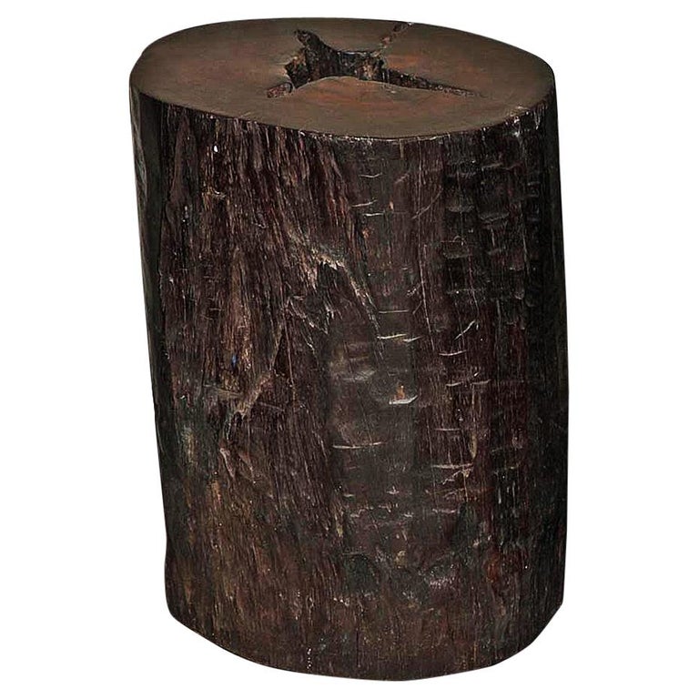 Tree Trunk End Table For Sale at 1stDibs