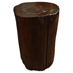 Tree Trunk End Table