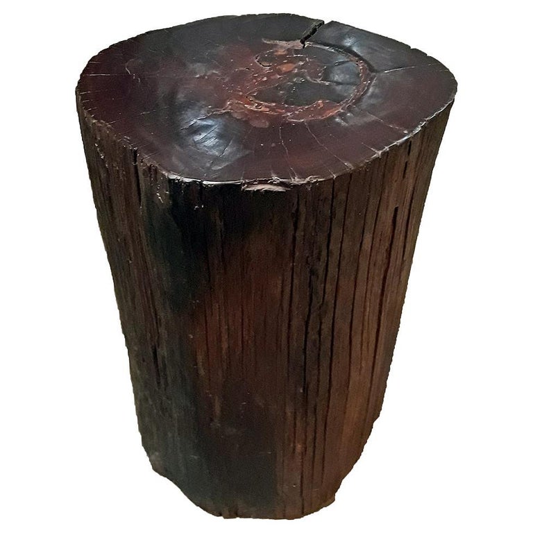 Tree Trunk End Table from Indonesia For Sale at 1stDibs