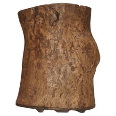 Tree trunk planter
