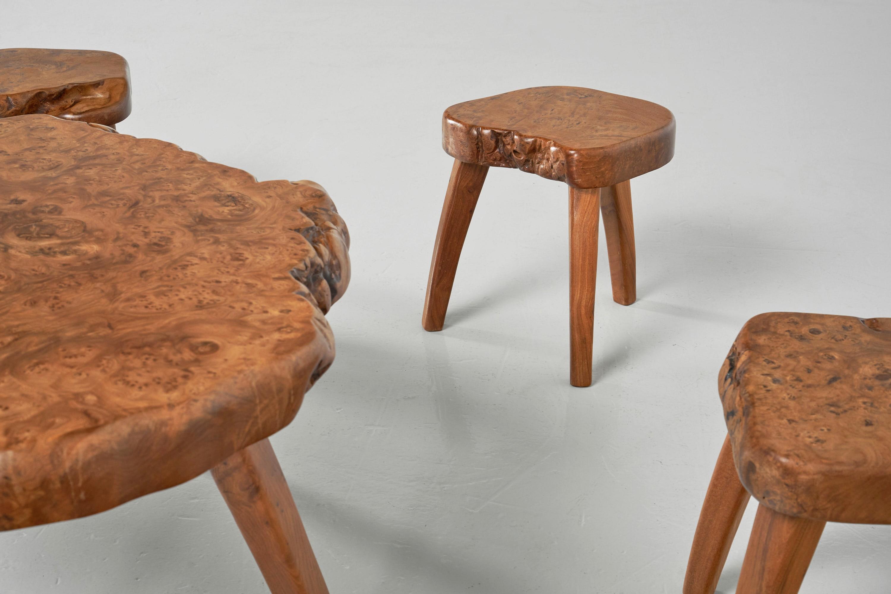 Tree Trunk Seating Group in Solid Elm, France, 1960 1