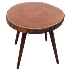 Tree Trunk side table 1950s Holland