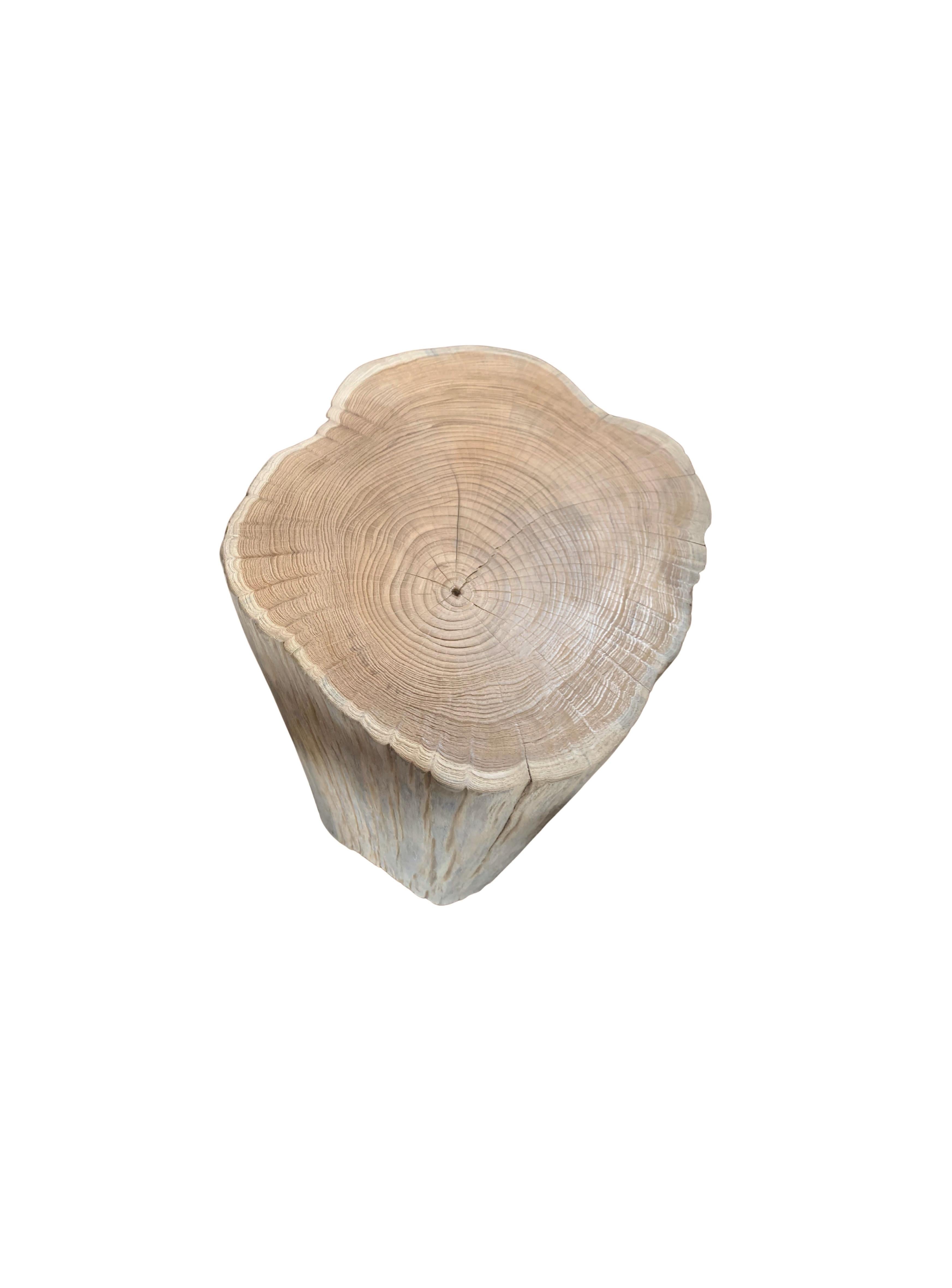 Organic Modern Tree Trunk Side Table Solid Mango Wood Bleached Finish Modern Organic For Sale
