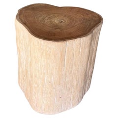 Mesa auxiliar tronco de árbol Madera maciza de teca acabado blanqueado Moderno Orgánico