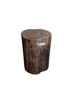 Tree Trunk Side Table Solid Teak Wood Espresso Finish Modern Organic