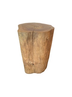 Tree Trunk Side Table Solid Teak Wood Natural Finish Modern Organic
