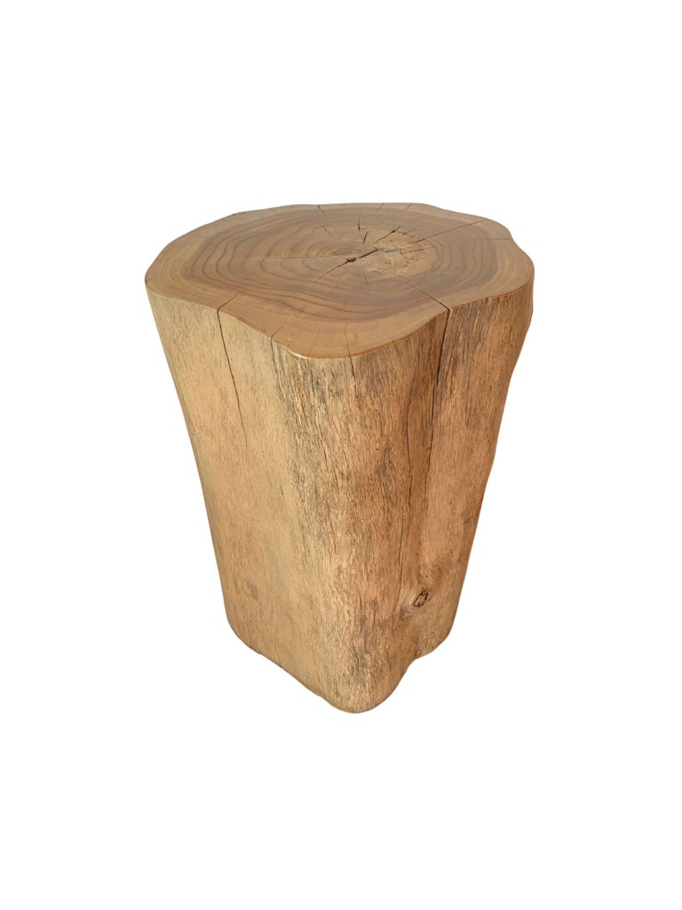 Contemporary Tree Trunk Side Table Solid Teak Wood Natural Finish Modern Organic For Sale