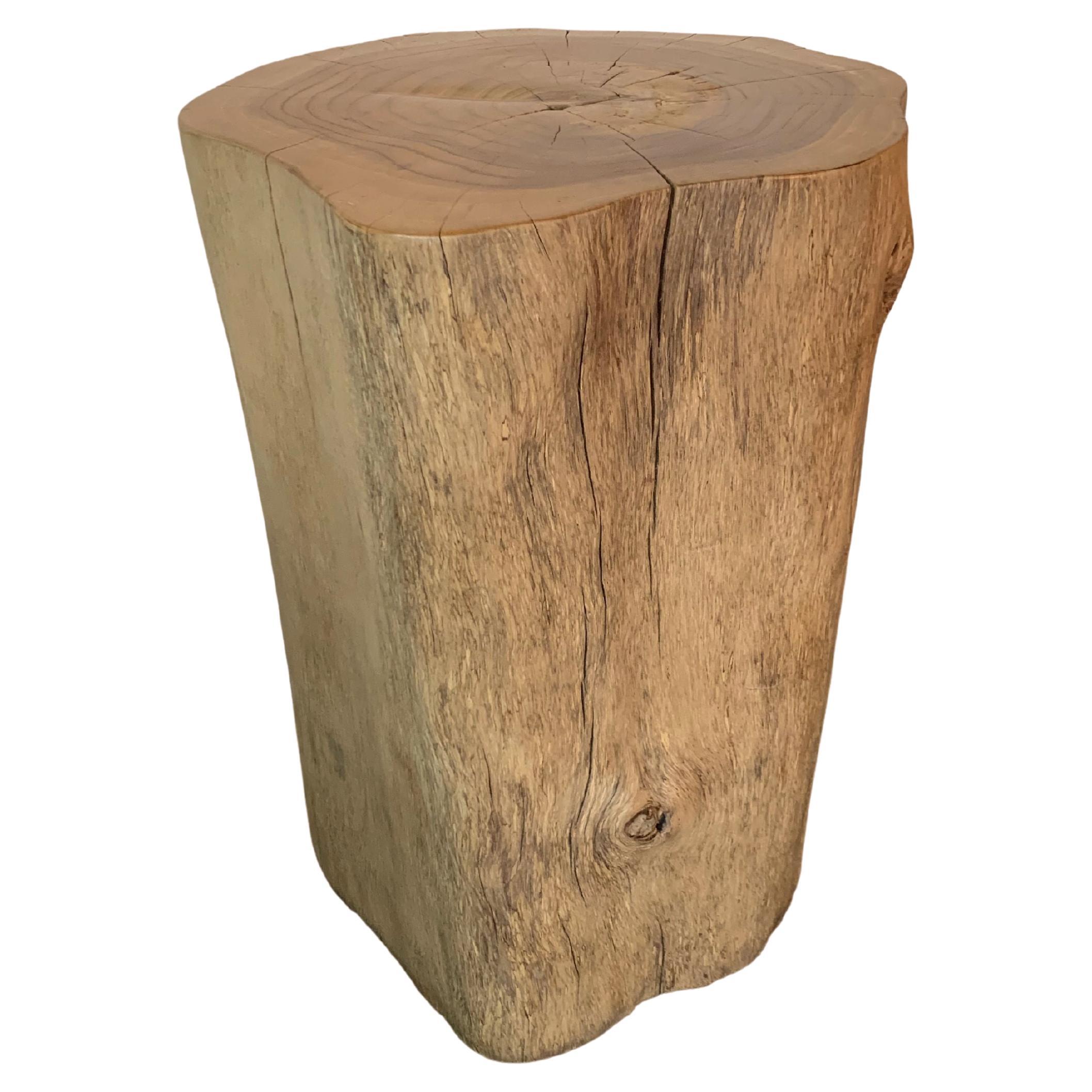 Tree Trunk Side Table Solid Teak Wood Natural Finish Modern Organic