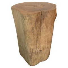 Tree Trunk Side Table Solid Teak Wood Natural Finish Modern Organic