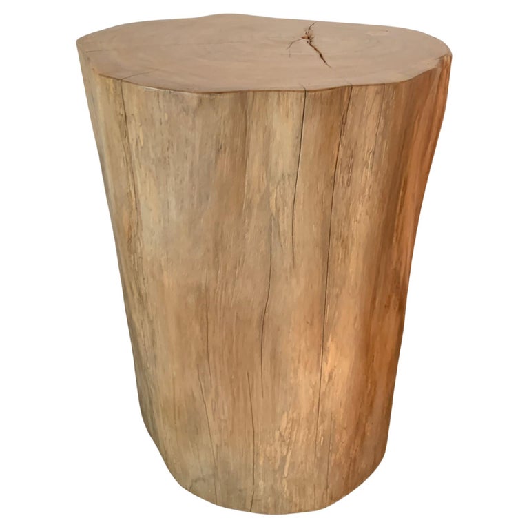 Tree Trunk Side Table Solid Teak Wood Natural Finish Modern Organic For Sale