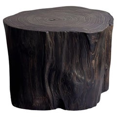 Tree Trunk Side Table Solid Teak Wood Natural Finish Modern Organic