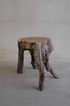 Tree trunk stool