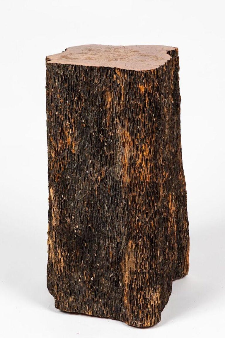 Tree Trunk Stool And Side Table For Sale At 1stdibs